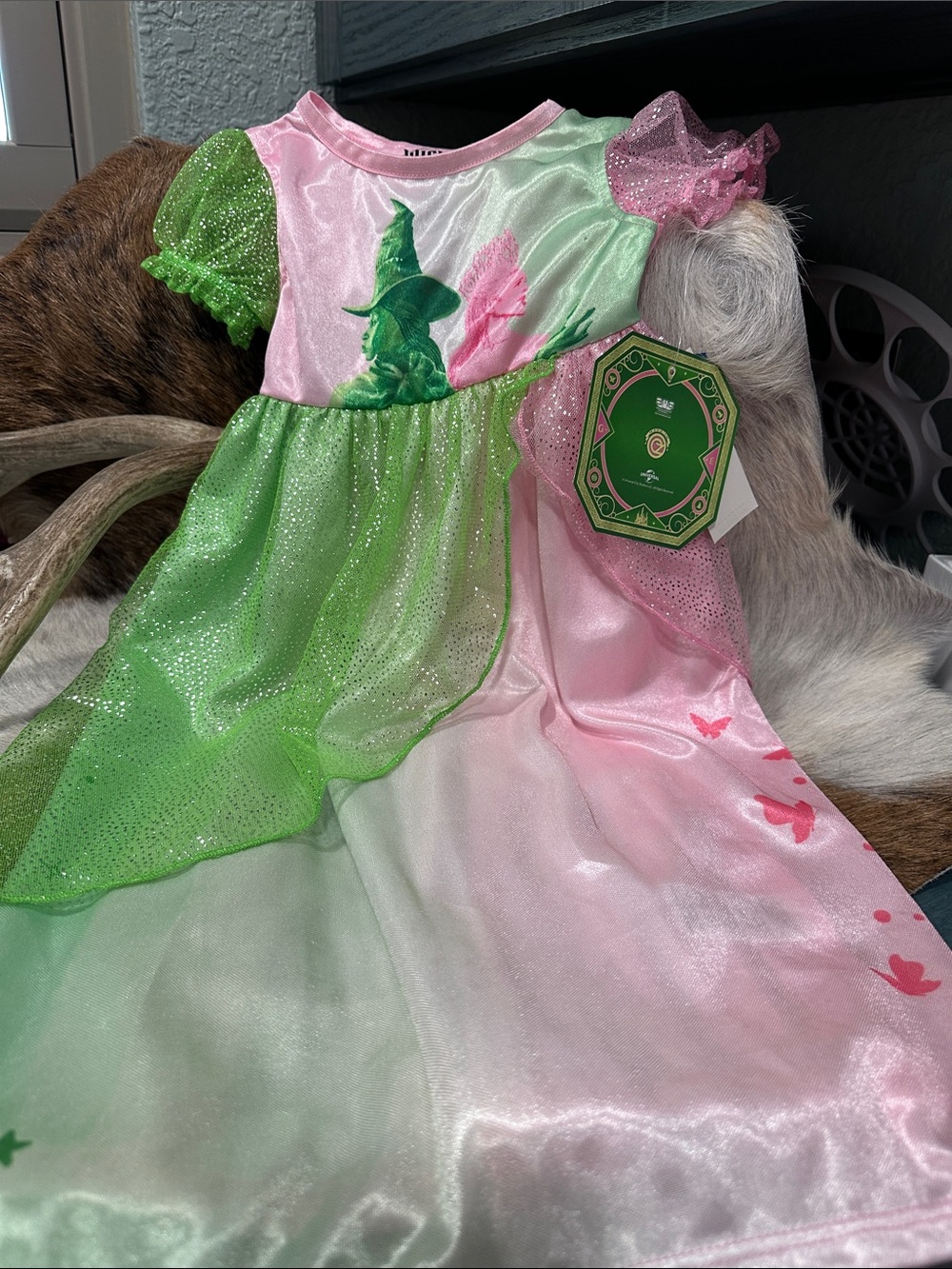 Wicked theme Nightgown Sz 2T NWT